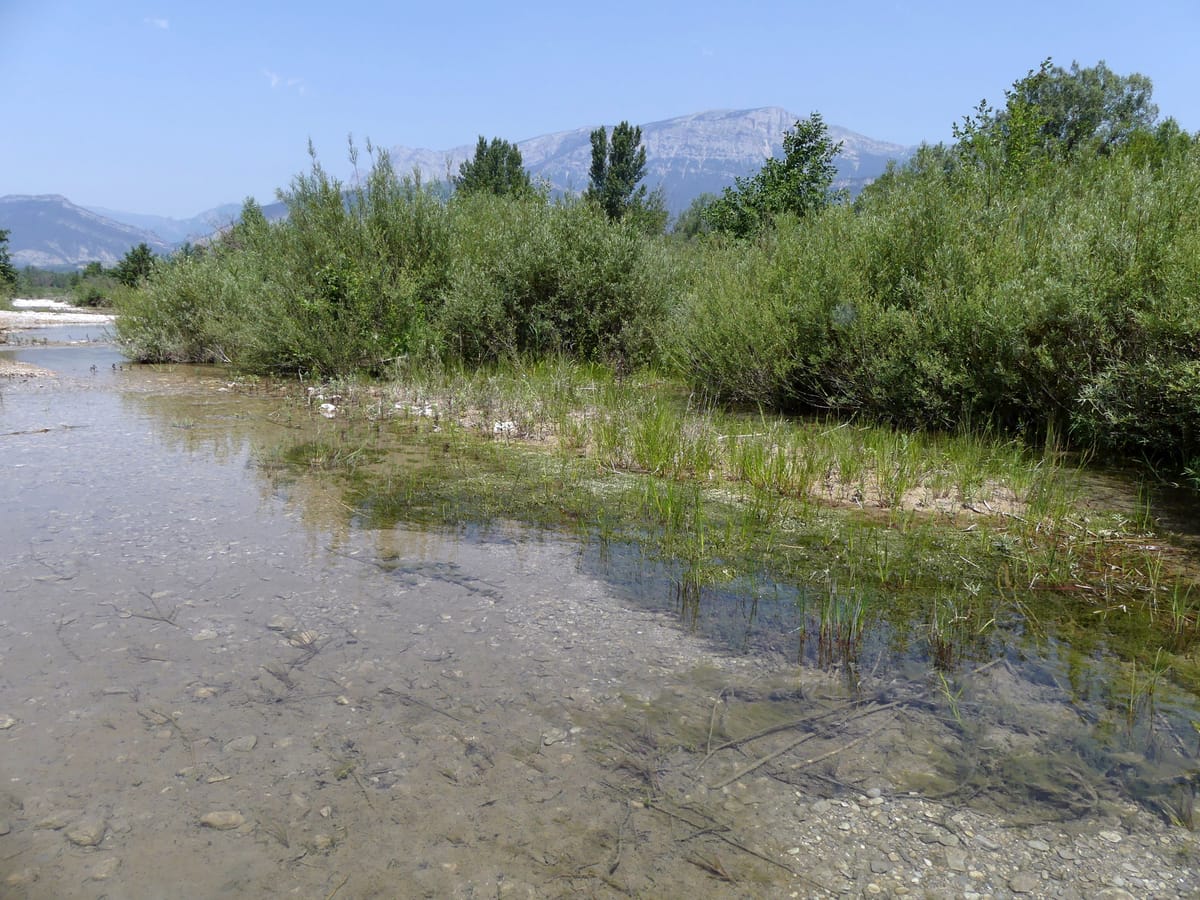 Rivière Drôme