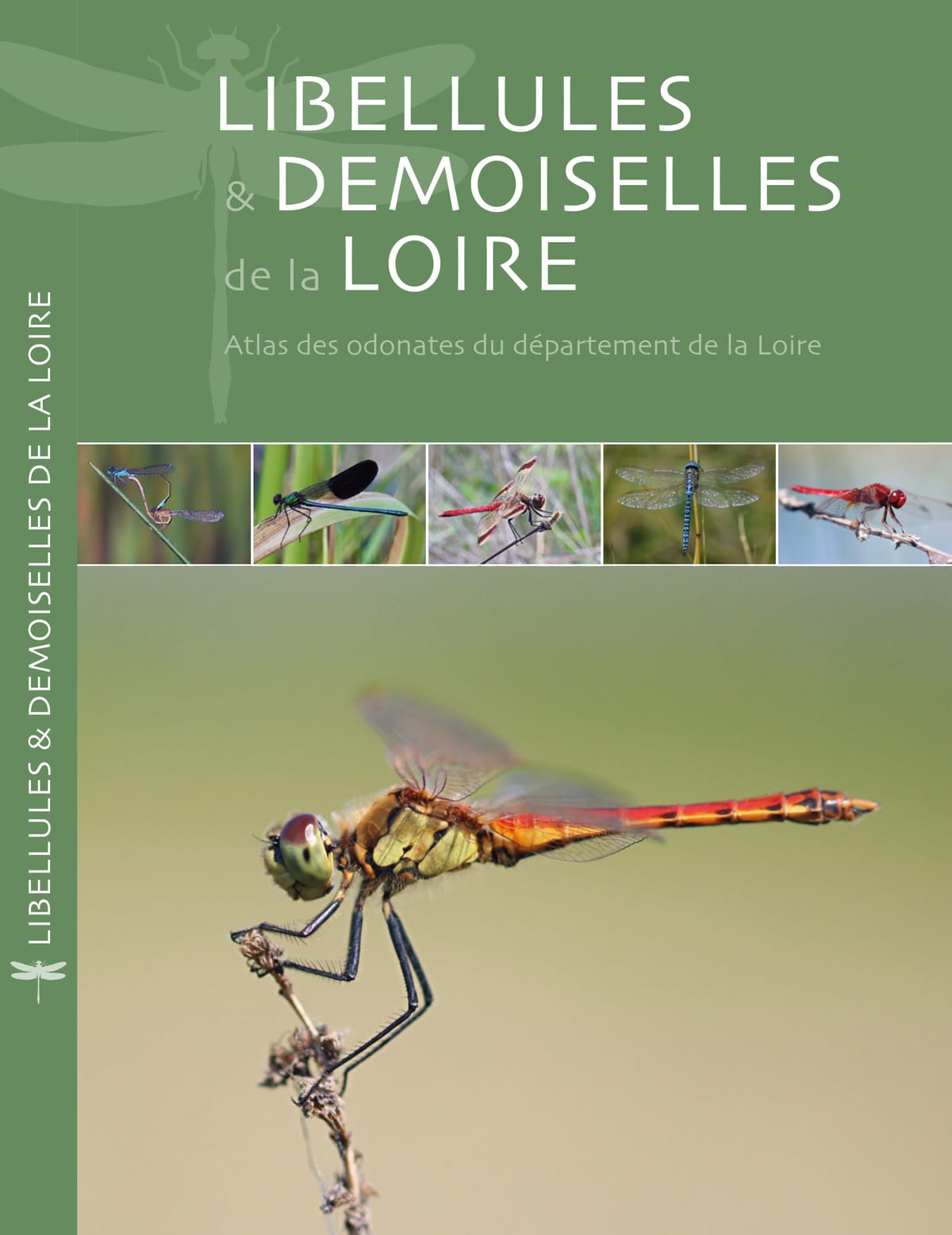 Atlas des Odonates de la Loire